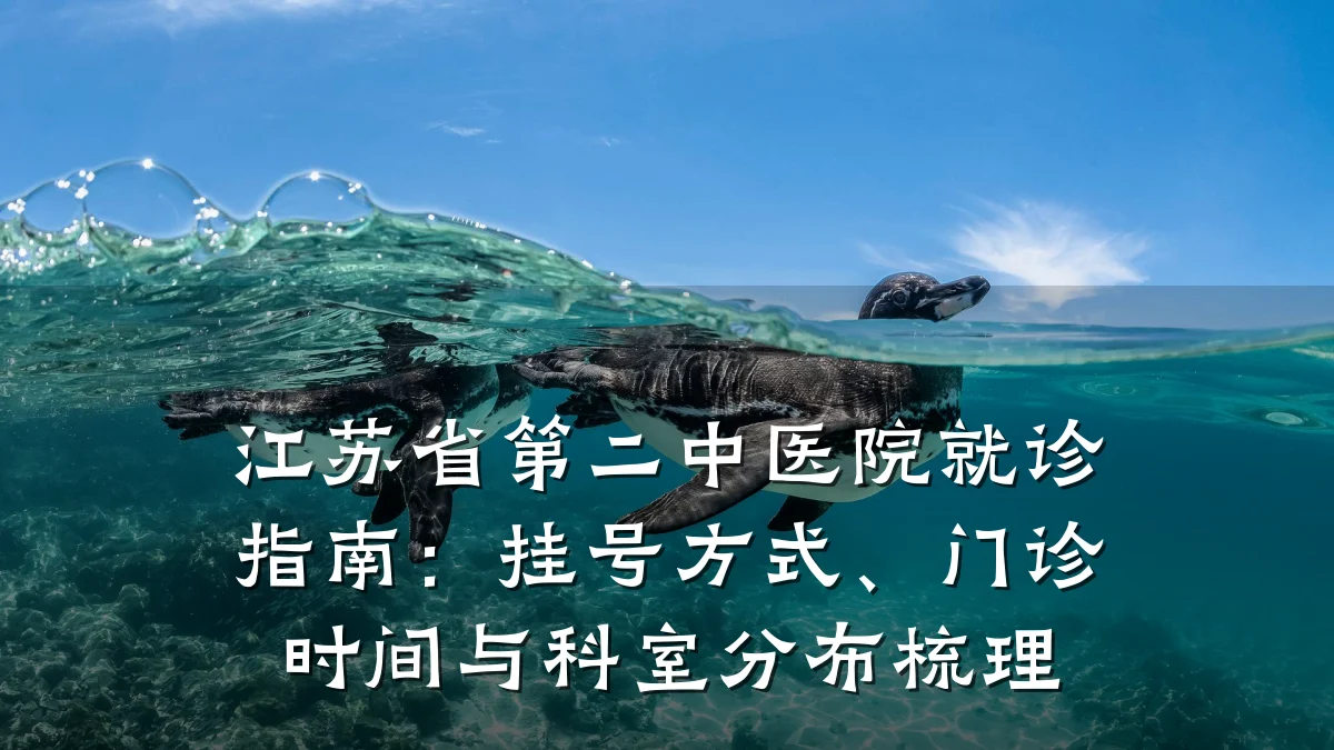 江苏省第二中医院就诊指南：挂号方式、门诊时间与科室分布梳理