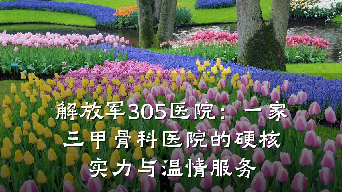 解放军305医院:一家三甲骨科医院的硬核实力与温情服务