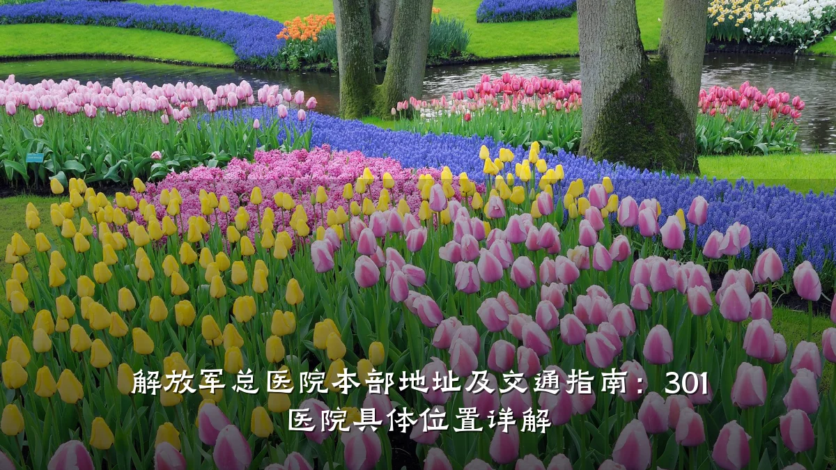 解放军总医院本部地址及交通指南:301 医院具体位置详解
