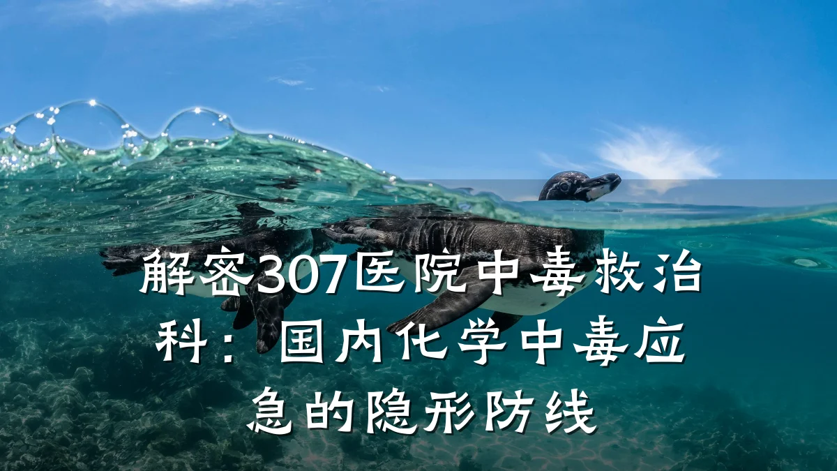 解密307医院中毒救治科：国内化学中毒应急的隐形防线