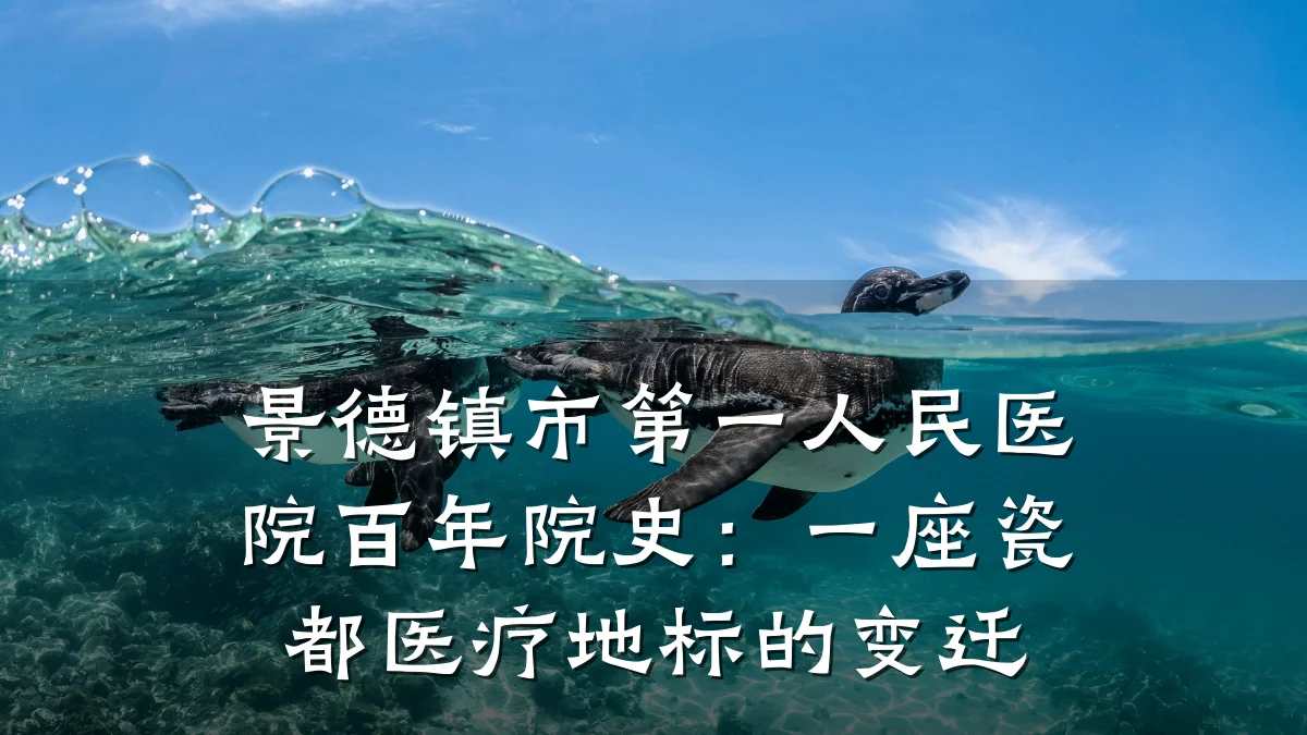 景德镇市第一人民医院百年院史：一座瓷都医疗地标的变迁