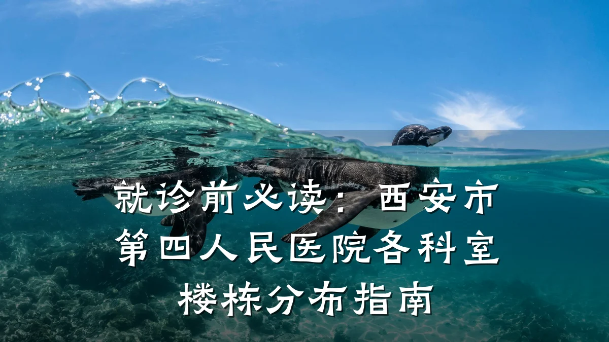 就诊前必读:西安市第四人民医院各科室楼栋分布指南