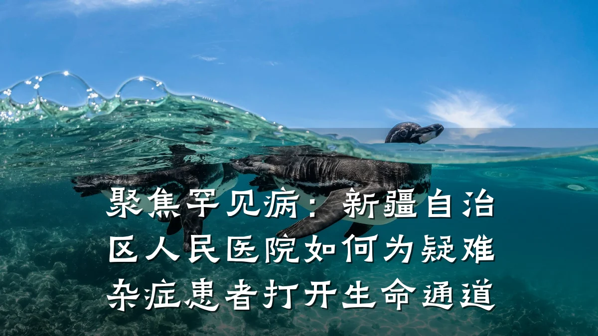 聚焦罕见病：新疆自治区人民医院如何为疑难杂症患者打开生命通道