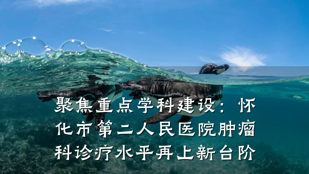 聚焦重点学科建设：怀化市第二人民医院肿瘤科诊疗水平再上新台阶