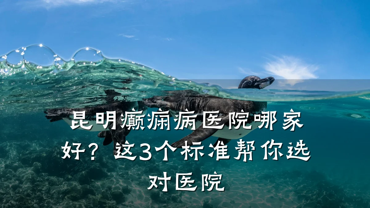 昆明癫痫病医院哪家好？这3个标准帮你选对医院