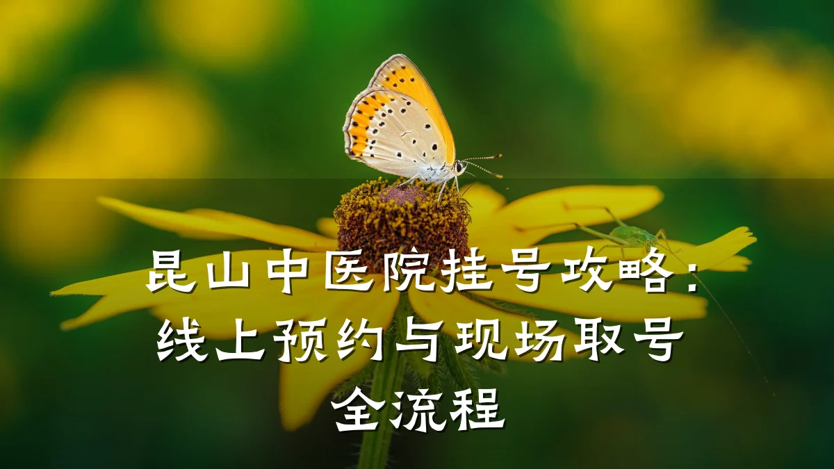 昆山中医院挂号攻略:线上预约与现场取号全流程