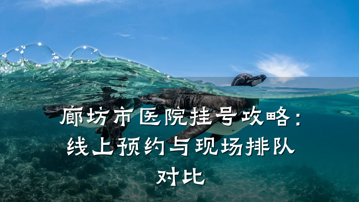 廊坊市医院挂号攻略：线上预约与现场排队对比
