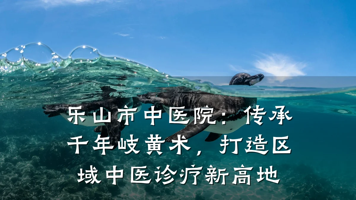 乐山市中医院：传承千年岐黄术，打造区域中医诊疗新高地