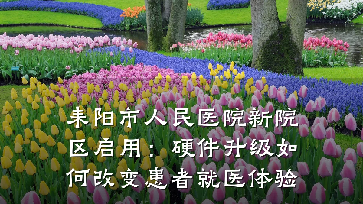 耒阳市人民医院新院区启用:硬件升级如何改变患者就医体验