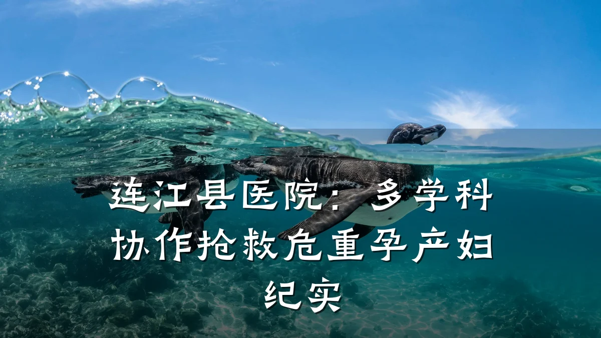 连江县医院：多学科协作抢救危重孕产妇纪实