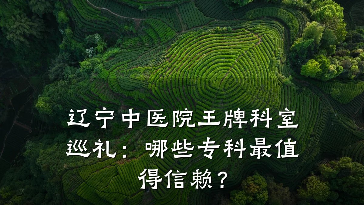 辽宁中医院王牌科室巡礼：哪些专科最值得信赖？