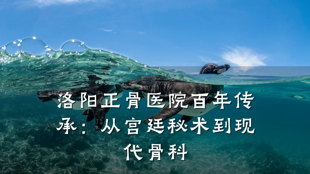 洛阳正骨医院百年传承：从宫廷秘术到现代骨科