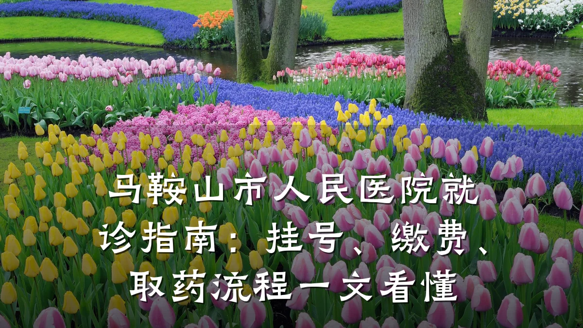 马鞍山市人民医院就诊指南：挂号、缴费、取药流程一文看懂