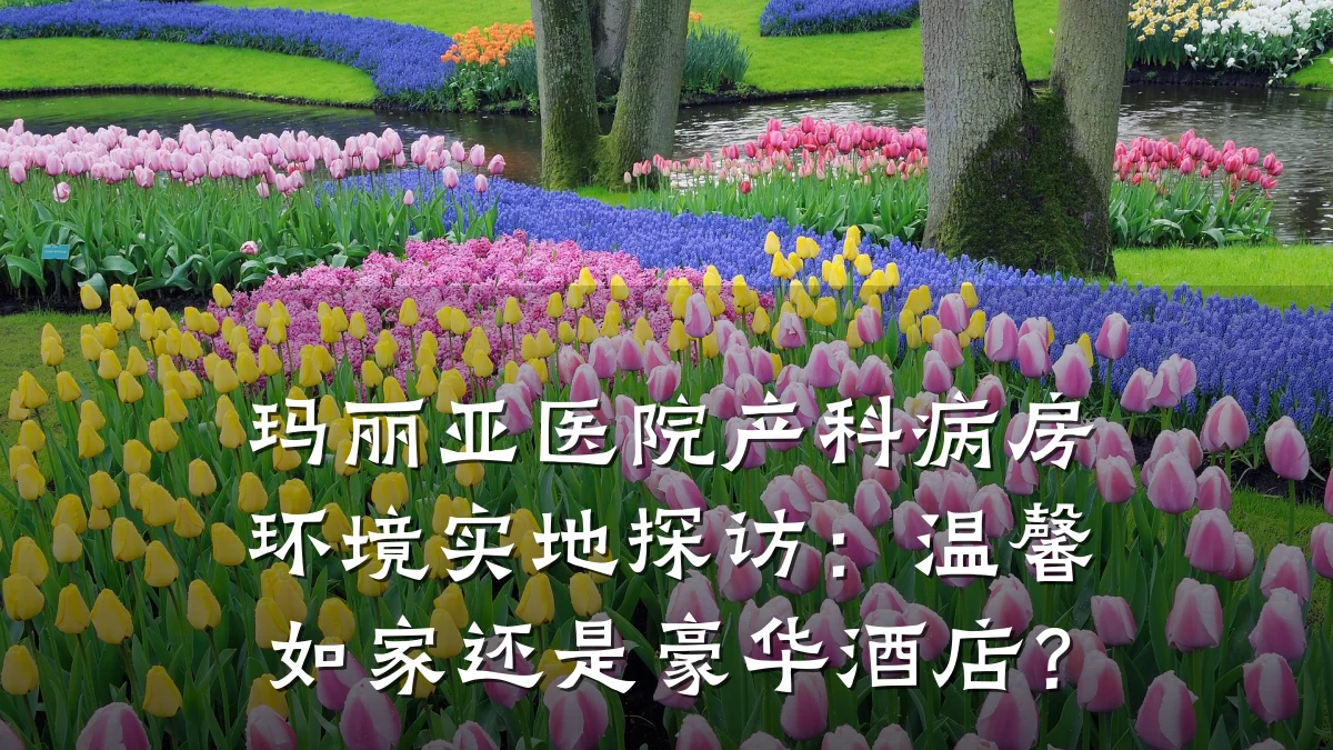 玛丽亚医院产科病房环境实地探访：温馨如家还是豪华酒店？