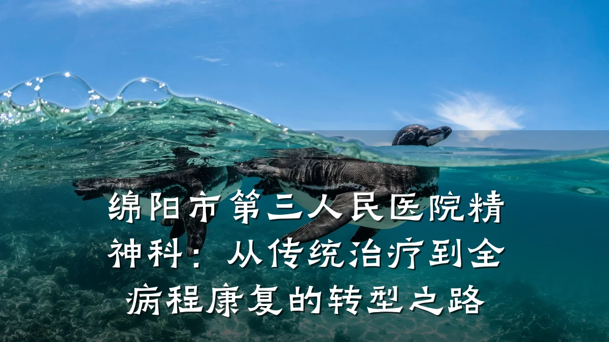 绵阳市第三人民医院精神科：从传统治疗到全病程康复的转型之路