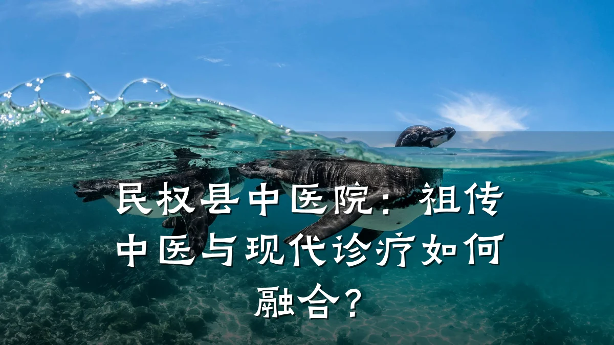 民权县中医院：祖传中医与现代诊疗如何融合？
