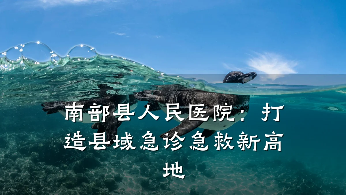 南部县人民医院：打造县域急诊急救新高地