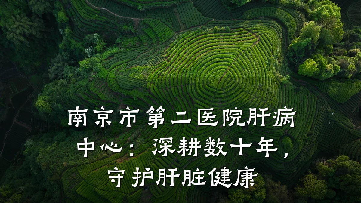 南京市第二医院肝病中心：深耕数十年，守护肝脏健康