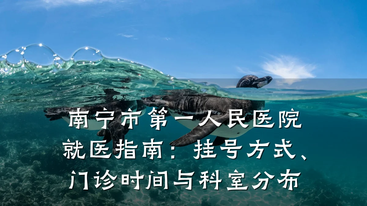 南宁市第一人民医院就医指南：挂号方式、门诊时间与科室分布