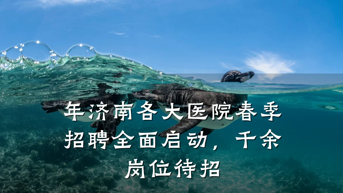 年济南各大医院春季招聘全面启动，千余岗位待招