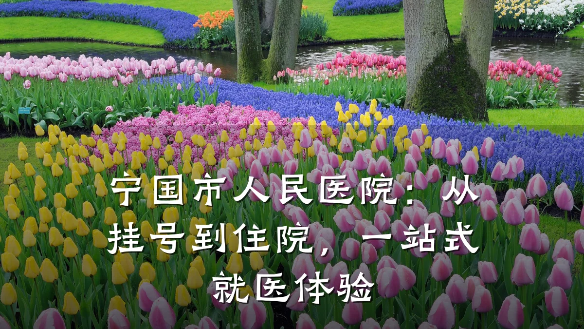 宁国市人民医院:从挂号到住院,一站式就医体验