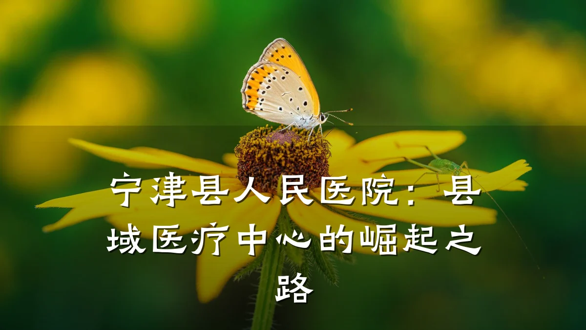 宁津县人民医院：县域医疗中心的崛起之路