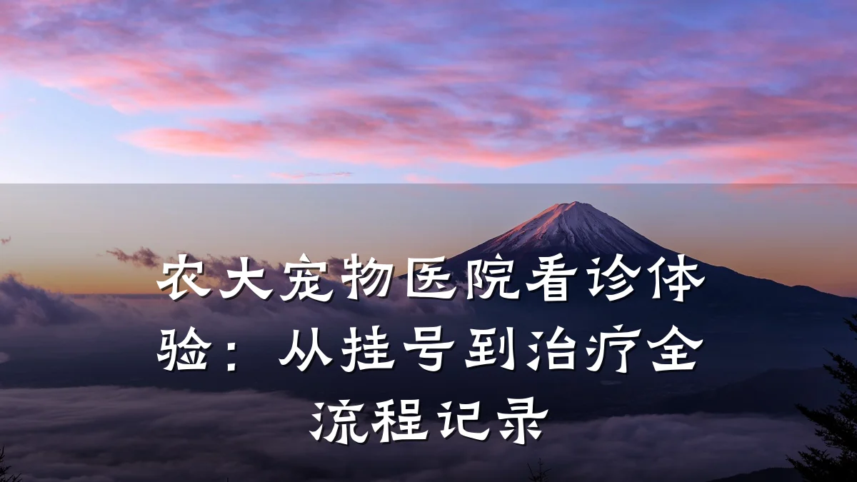 农大宠物医院看诊体验:从挂号到治疗全流程记录