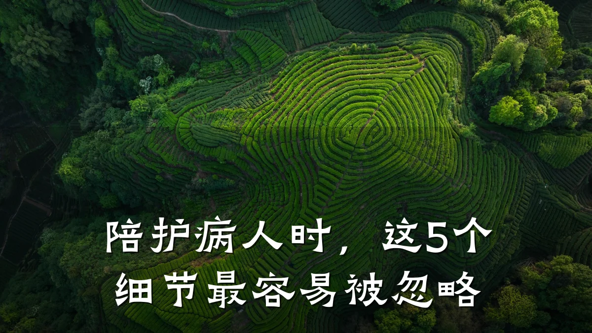 陪护病人时，这5个细节最容易被忽略