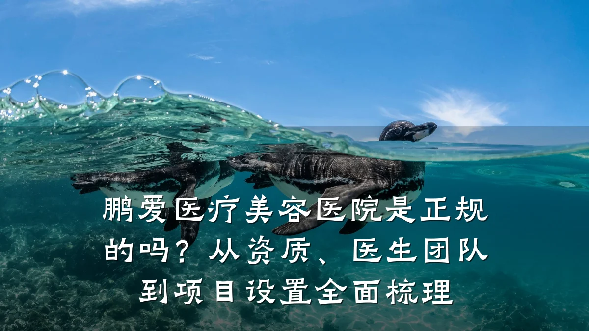 鹏爱医疗美容医院是正规的吗？从资质、医生团队到项目设置全面梳理
