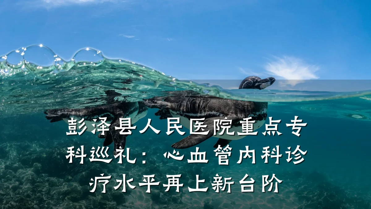 彭泽县人民医院重点专科巡礼：心血管内科诊疗水平再上新台阶