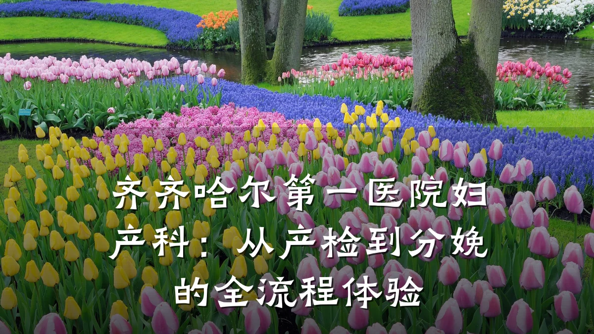 齐齐哈尔第一医院妇产科:从产检到分娩的全流程体验