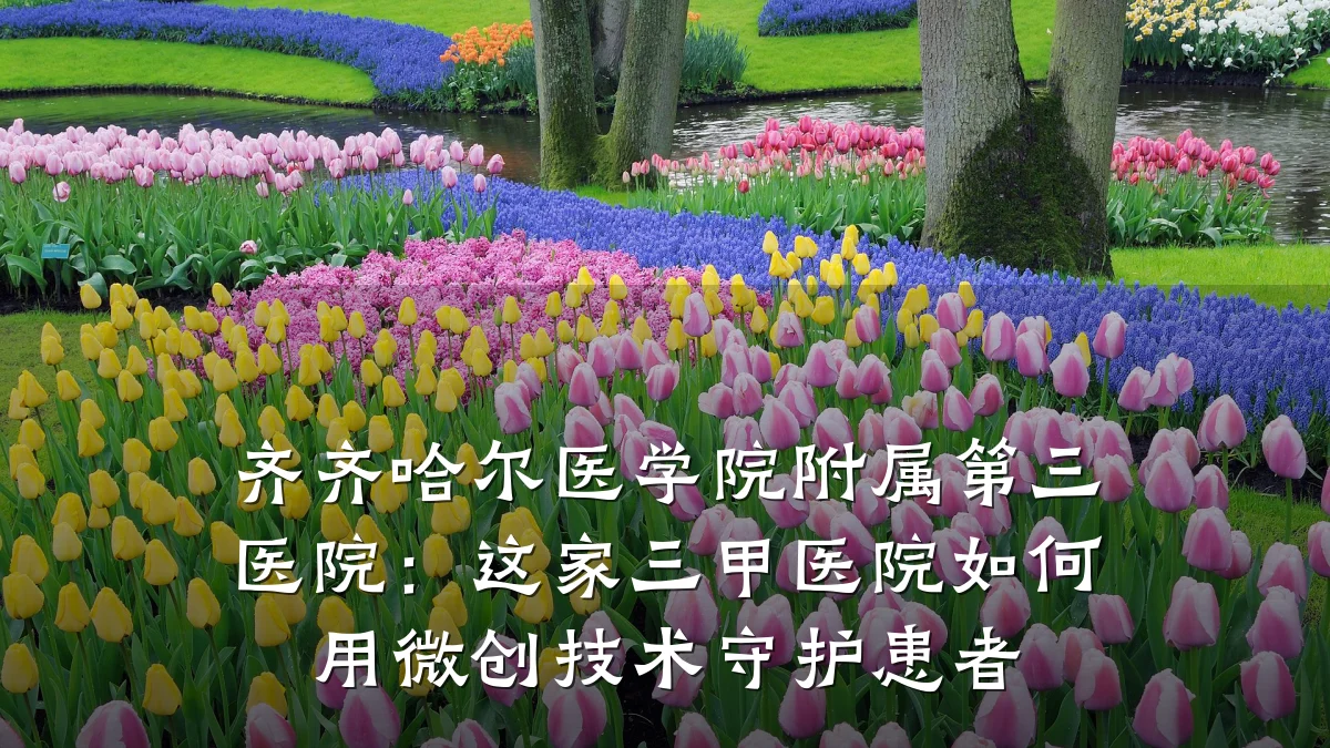 齐齐哈尔医学院附属第三医院：这家三甲医院如何用微创技术守护患者