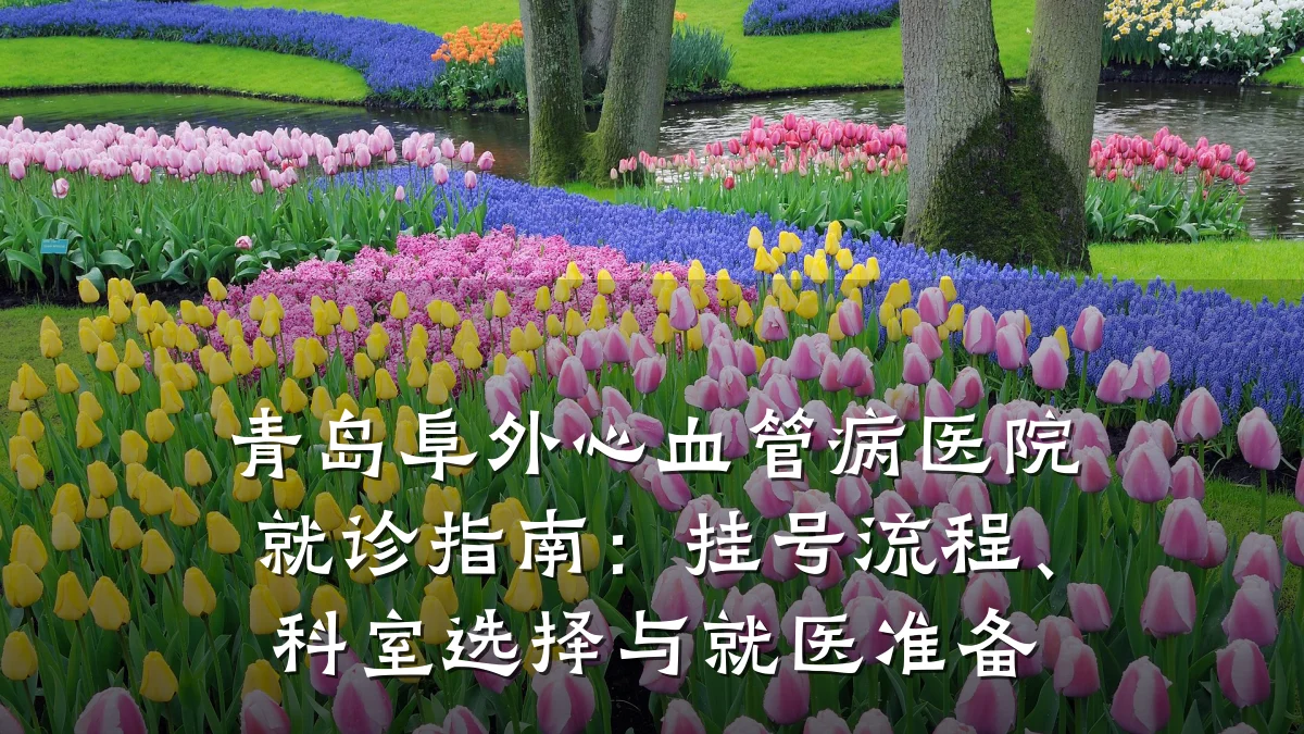 青岛阜外心血管病医院就诊指南：挂号流程、科室选择与就医准备
