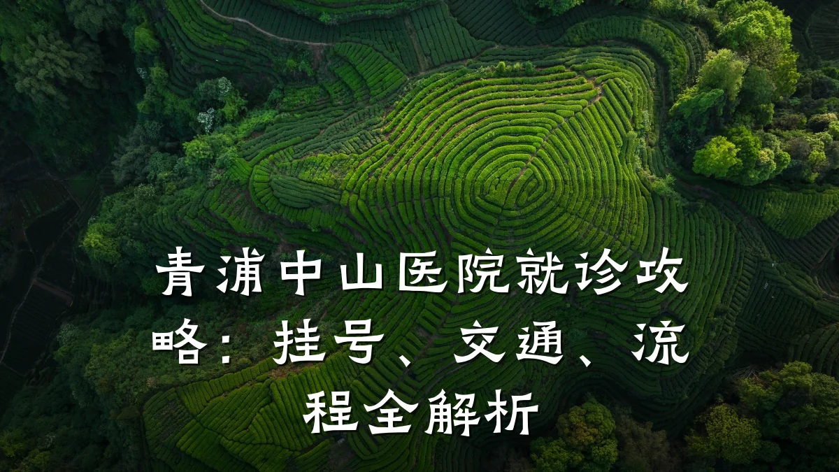 青浦中山医院就诊攻略：挂号、交通、流程全解析