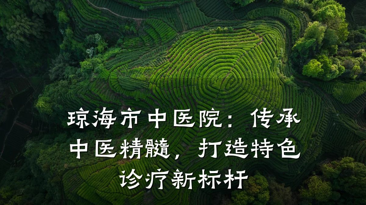 琼海市中医院:传承中医精髓,打造特色诊疗新标杆