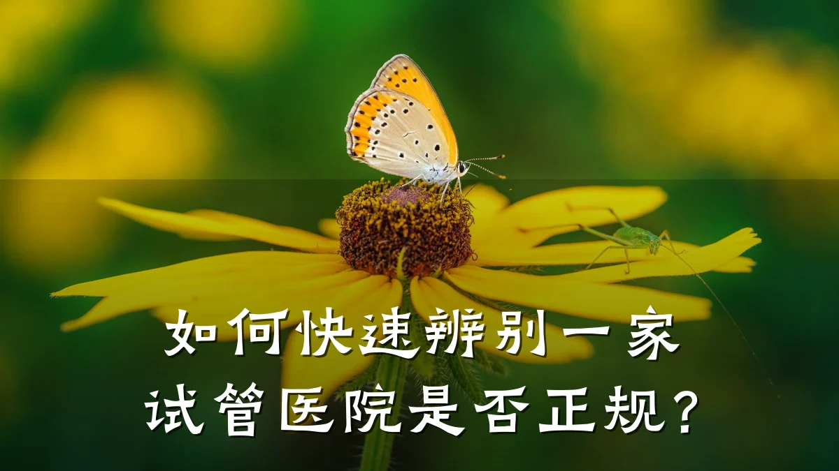 如何快速辨别一家试管医院是否正规?