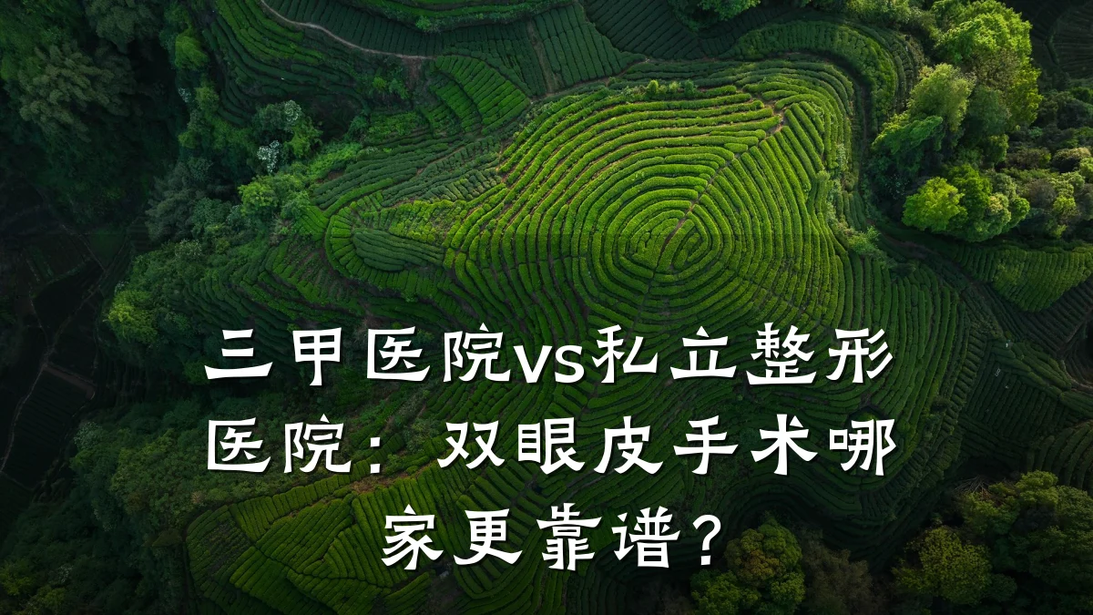 三甲医院vs私立整形医院:双眼皮手术哪家更靠谱?