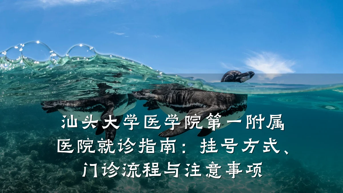 汕头大学医学院第一附属医院就诊指南：挂号方式、门诊流程与注意事项