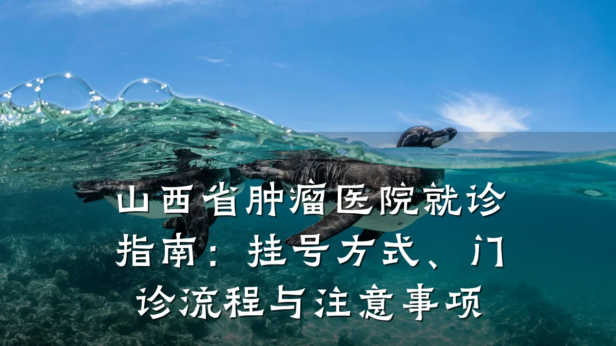 山西省肿瘤医院就诊指南:挂号方式、门诊流程与注意事项