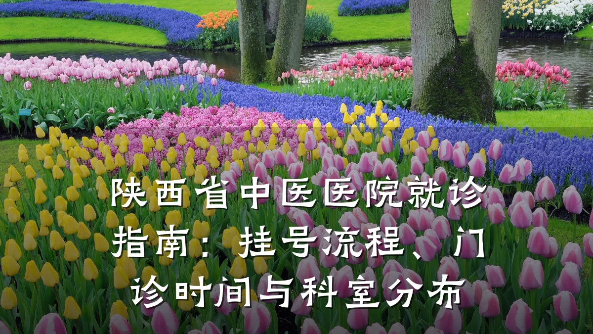 陕西省中医医院就诊指南:挂号流程、门诊时间与科室分布