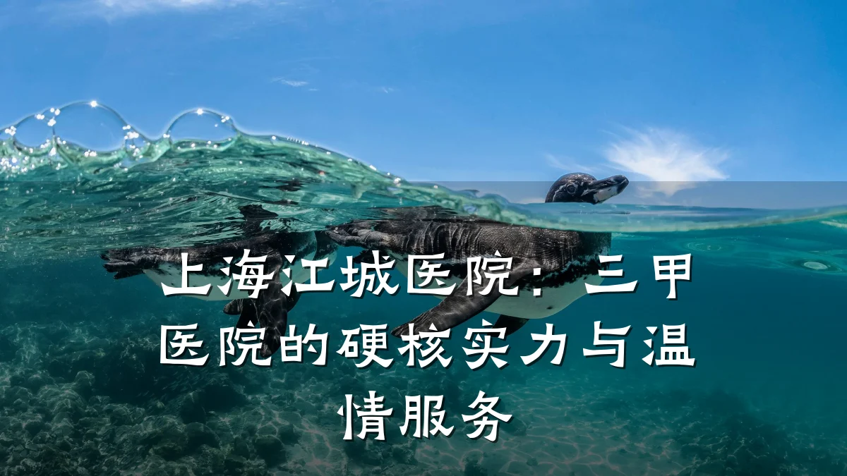 上海江城医院：三甲医院的硬核实力与温情服务