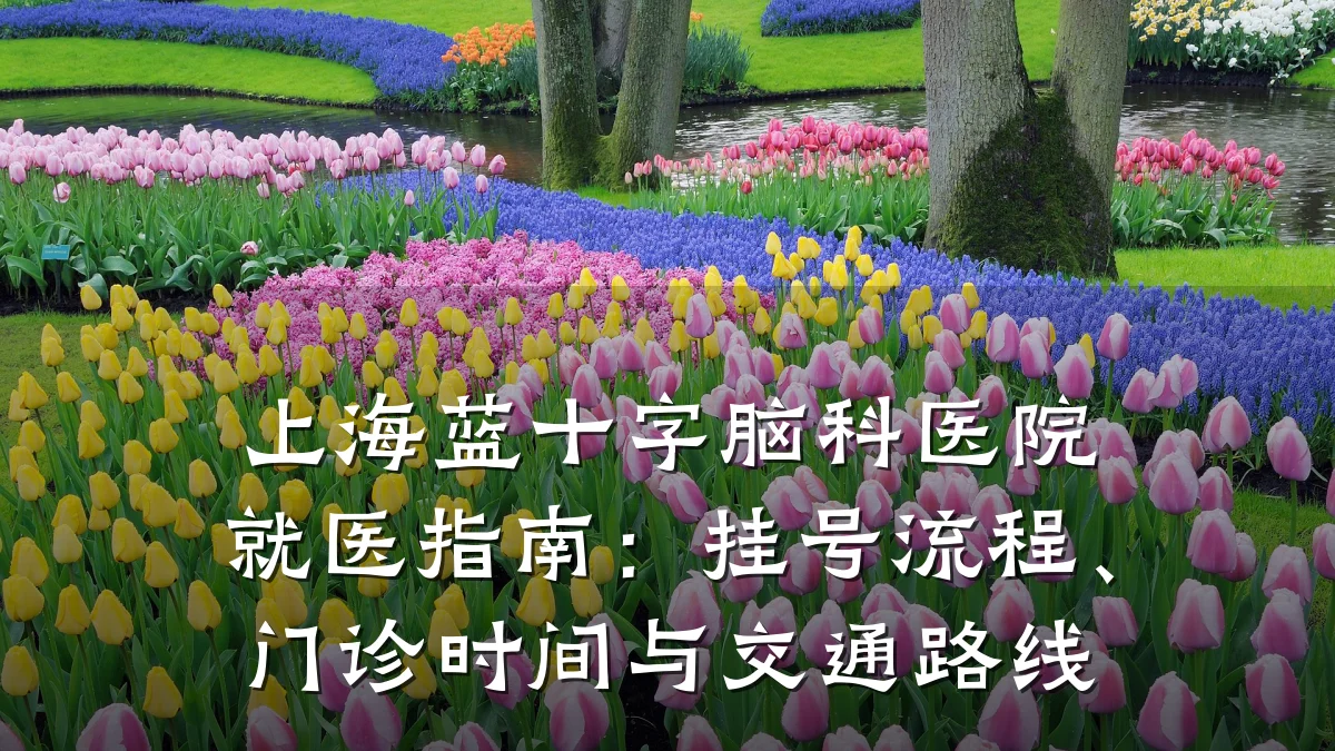 上海蓝十字脑科医院就医指南：挂号流程、门诊时间与交通路线
