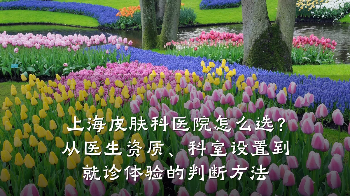 上海皮肤科医院怎么选?从医生资质、科室设置到就诊体验的判断方法