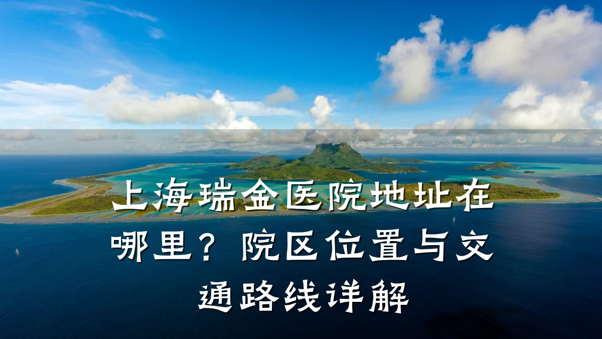 上海瑞金医院地址在哪里?院区位置与交通路线详解