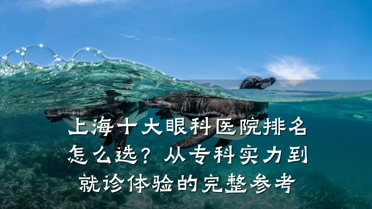 上海十大眼科医院排名怎么选？从专科实力到就诊体验的完整参考