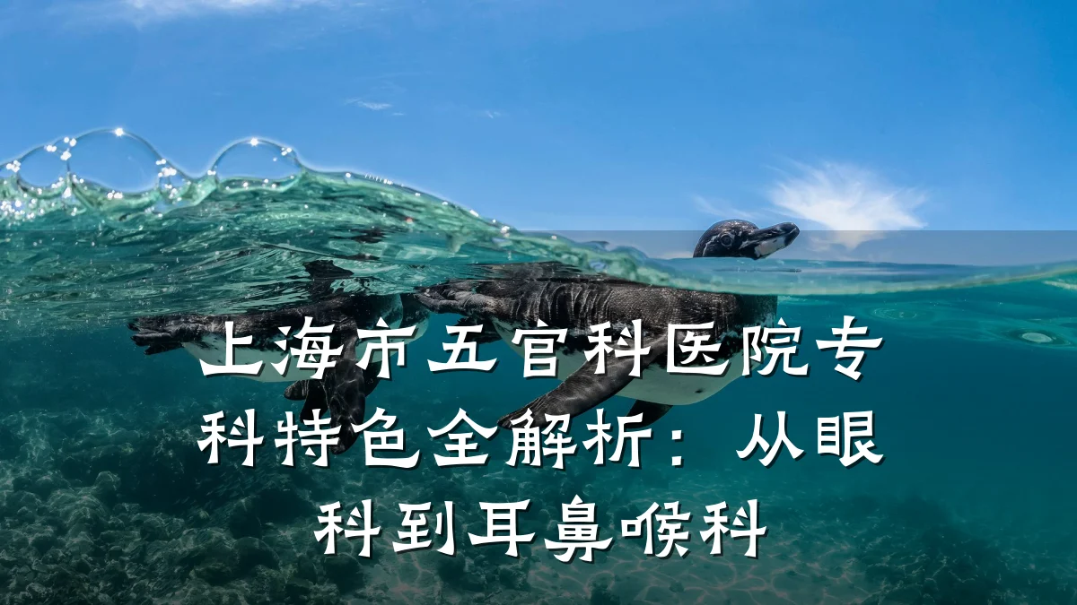 上海市五官科医院专科特色全解析:从眼科到耳鼻喉科