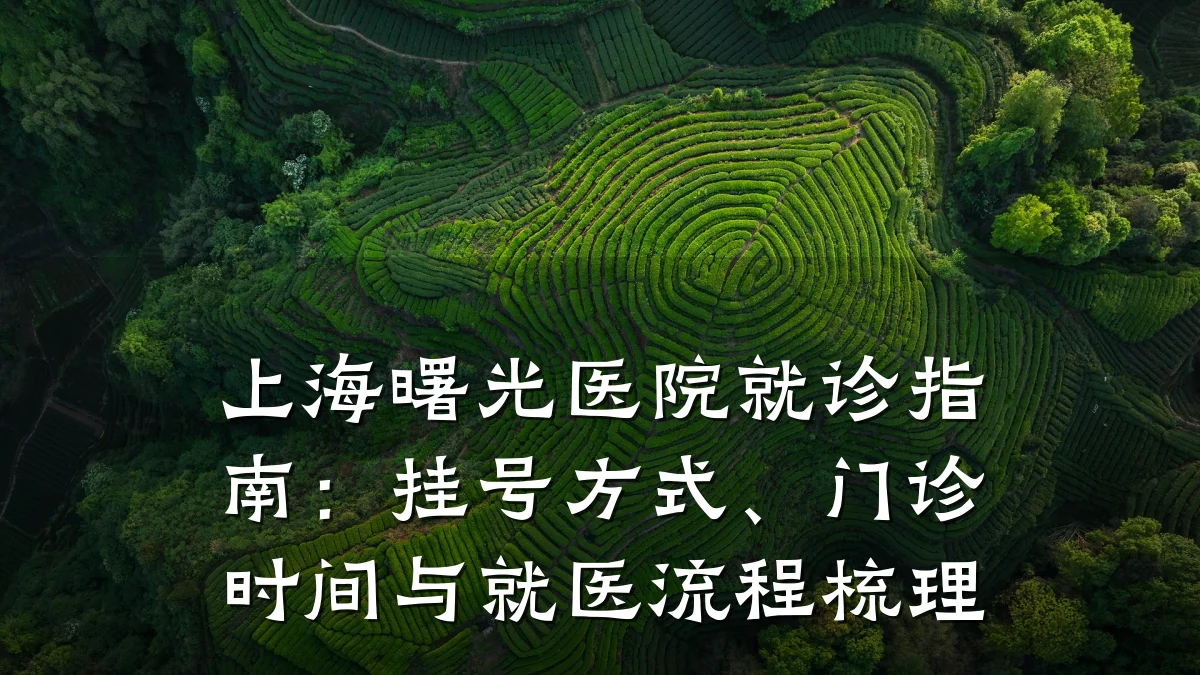 上海曙光医院就诊指南：挂号方式、门诊时间与就医流程梳理