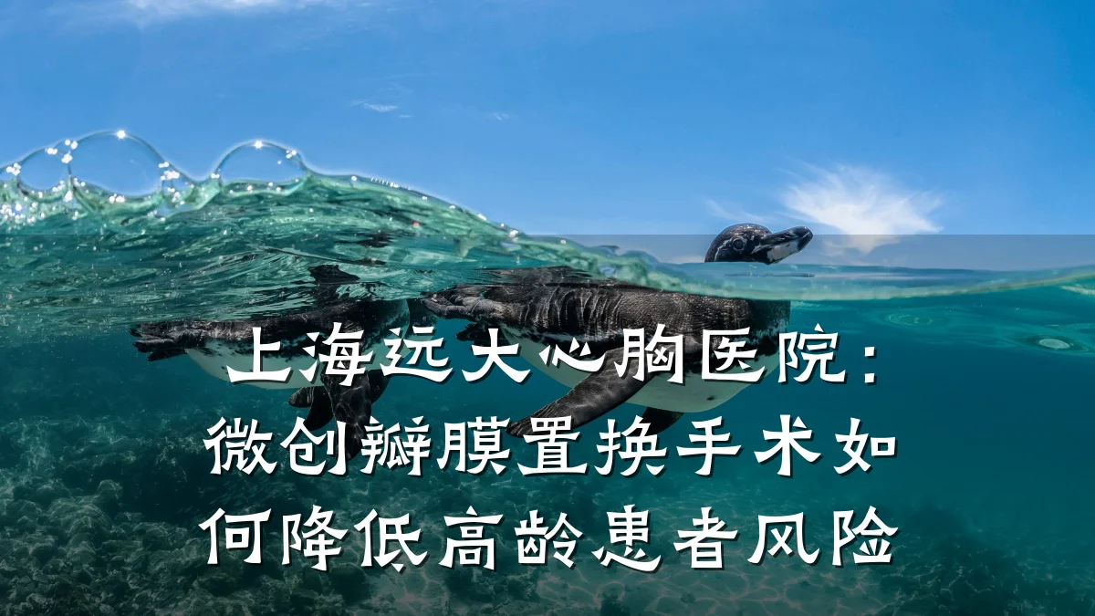 上海远大心胸医院：微创瓣膜置换手术如何降低高龄患者风险