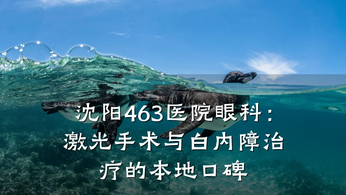 沈阳463医院眼科：激光手术与白内障治疗的本地口碑
