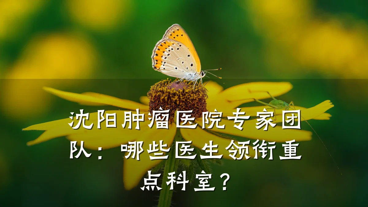 沈阳肿瘤医院专家团队：哪些医生领衔重点科室？